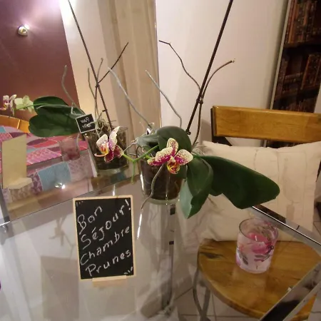 Accommodatie bij particulieren Les Roches De Coigne Sainte-Anne-sur-Vilaine
